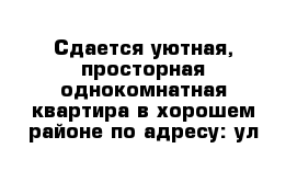 Сдается уютная, просторная однокомнатная квартира в хорошем районе по адресу: ул